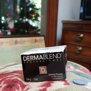 Dermablend SETTING POWDER